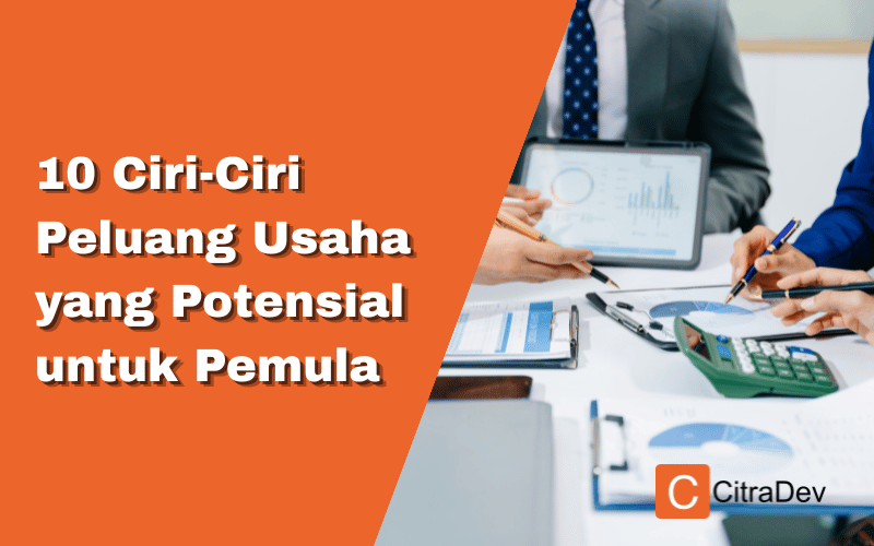 10 Ciri-Ciri Peluang Usaha yang Potensial untuk Pemula